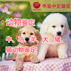 拉萨动物鉴定