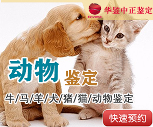 拉萨动物鉴定